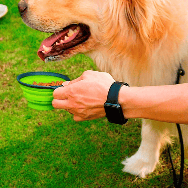 Cuenco De Agua 3 En 1 Caes, Comida Rosa Para Perros Y Gatos 2