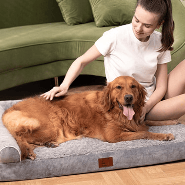 Cama Ortopédica Para Perros Grandes Cómoda Y Lavable Xl 5