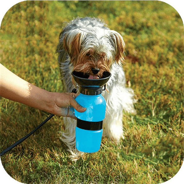 Dispensador De Agua Botella Portátil Para Mascotas Color Azul 6