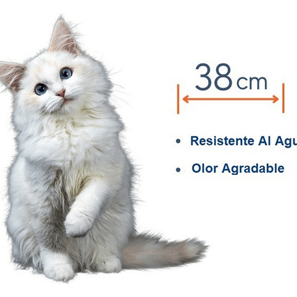 Collar Anti Pulgas Repelente Para Gato 8 Meses De Protección 2