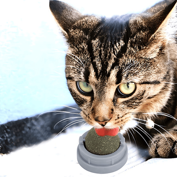 X3 Catnip Hierba Gatera Catnip Gato Bola Adhesiva Juguete Color Blanco Bola De Catnip Merienda Para Gatos Hierba Gatera Licking 7