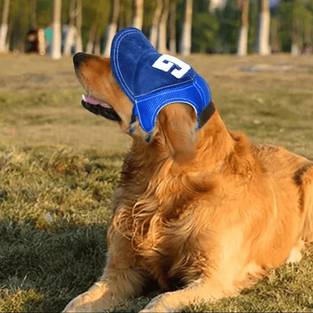 Gorra /jockey /gorra Perros Y Gatos Protector Solar Talla Xs 3