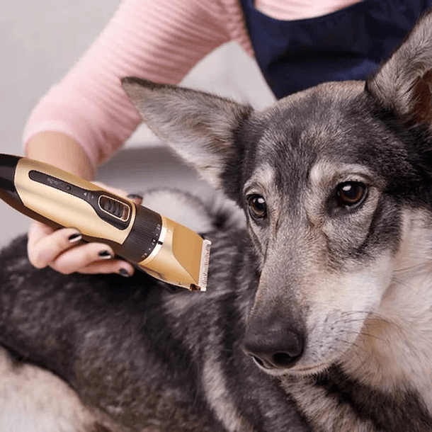 Máquina De Afeitado Para Mascota Goldenmix Máquina De Tosa Pet - Motor Profissional - 4 Pentes Color Negro 8