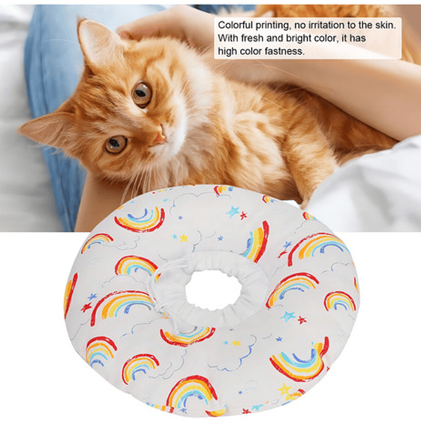 Collar Isabelino Gato Collar Isabelino Perro Collar Perra Xs Color Multicolor Collar Isabelino Xs 9