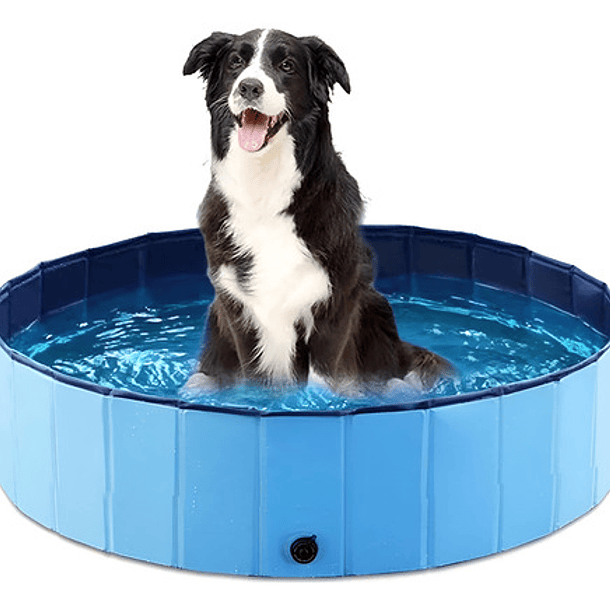 Piscina Plegable Para Perro Mascotas Y Niños 120x30cm 1