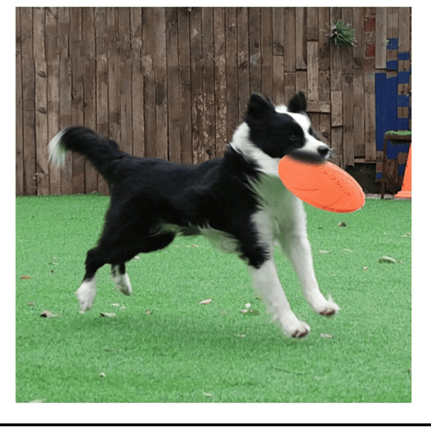 Juguete Disco Volador L Para Lanzamiento Artículo De Mascota 2