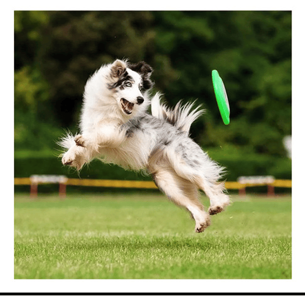 Juguete Disco Volador L Para Lanzamiento Artículo De Mascota 3