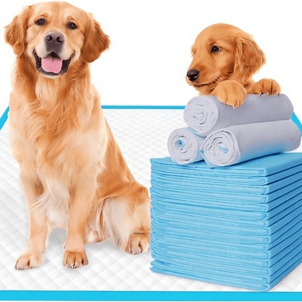 Pets Home Pañales Tapete Entrenador Para Perro 60*45cm*50pcs 4