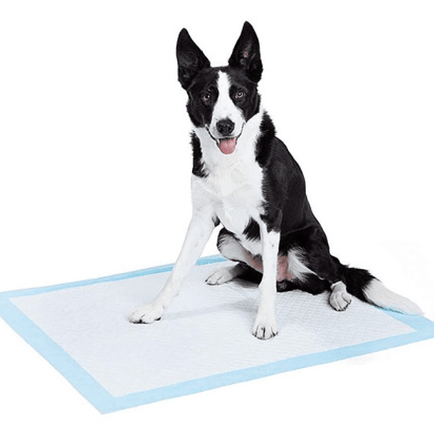Pets Home Pañales Tapete Entrenador Para Perro 60*45cm*50pcs 6
