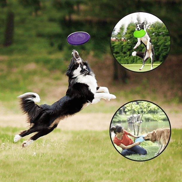 Frisbee En Goma Flexible Para Perros Juguete Disco - Azul 4