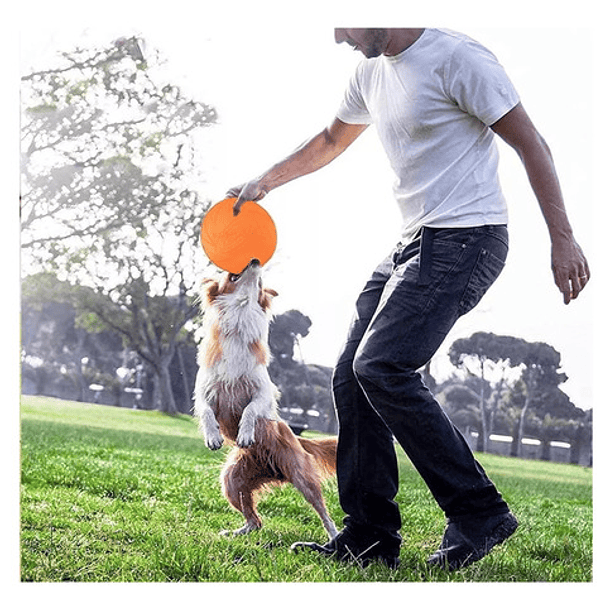 Juguete Interactivo Para Perros Frisbee De Entrenamiento M 4