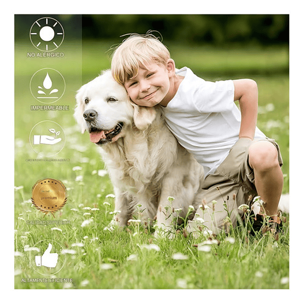 Collar Anti Pulga Repelente Para Perro 8 Meses De Protección 2