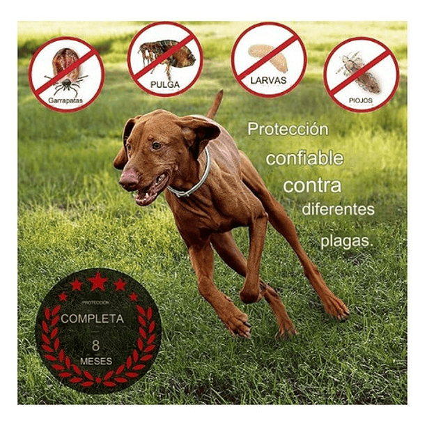 Collar Anti Pulga Repelente Para Perro 8 Meses De Protección 3