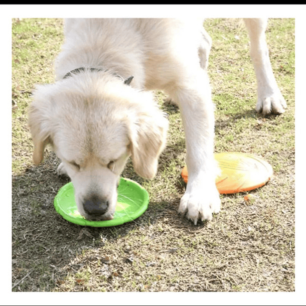 Juguete Disco Volador M Para Lanzamiento Artículo De Mascota 5