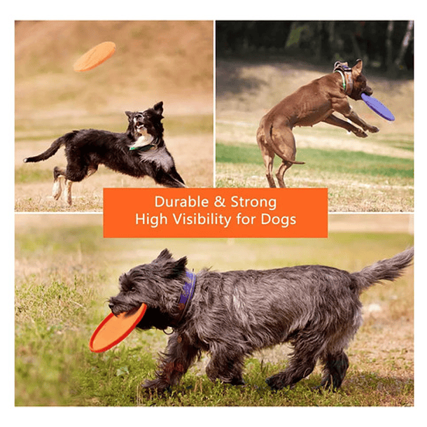 Juguete Interactivo Para Perros Frisbee De Entrenamiento L 6