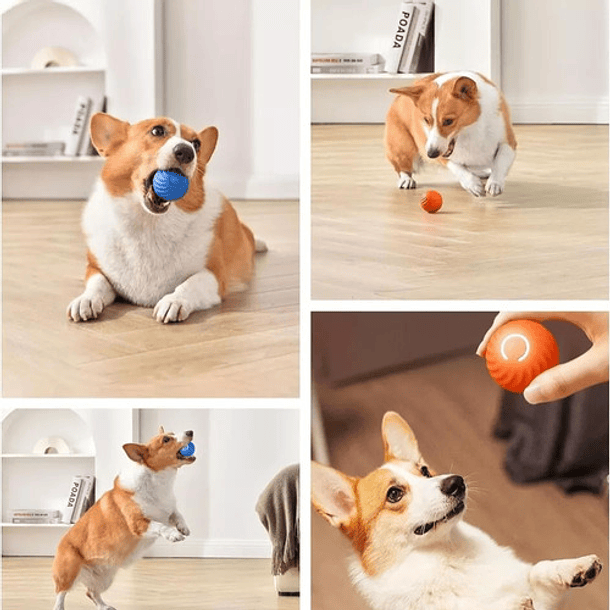 Juguete Interactivo Para Perros Gatos Usb Pelota Giratorio 2