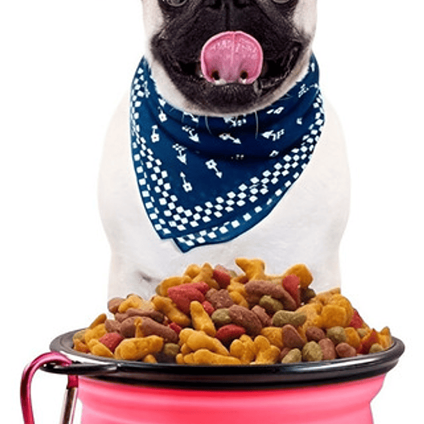 Plato De Goma Plegable Portátil Mascotas Perro Y Gato Silico Color Rosa 10