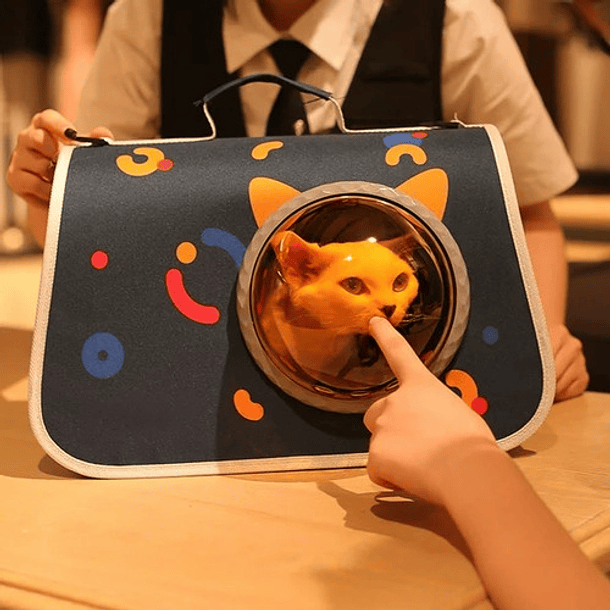 Canil Mochila Gato Azul Bolso Transportador Perro Caja Mascotas Cosas De Gatos Roro 11