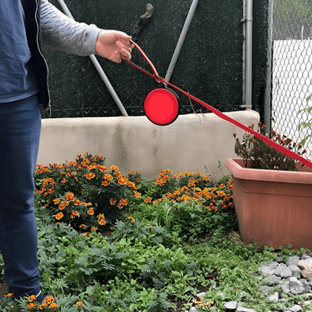 Plato De Goma Plegable Portátil Mascotas Perro Y Gato Silico Color Rojo 2