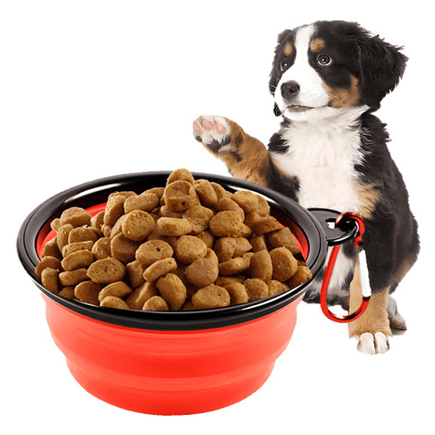 Plato De Goma Plegable Portátil Mascotas Perro Y Gato Silico Color Rojo 4