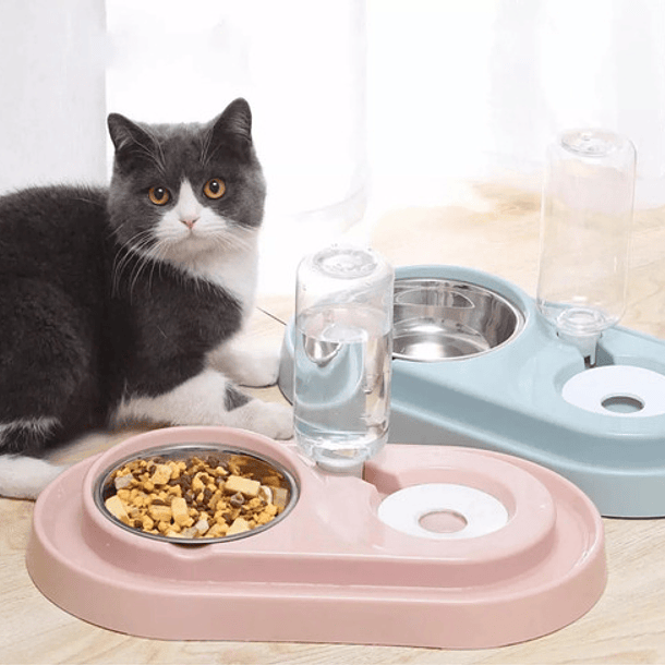 Cuenco Doble Acero Inoxidable Para Alimentos De Mascotas 6