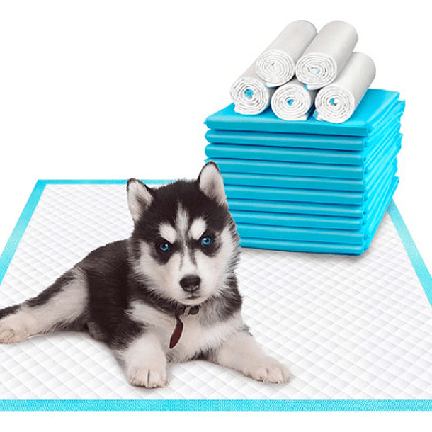 120 Pañales Tipo Sabanillas Mascotas Perro Gato 60x60 Cm 1