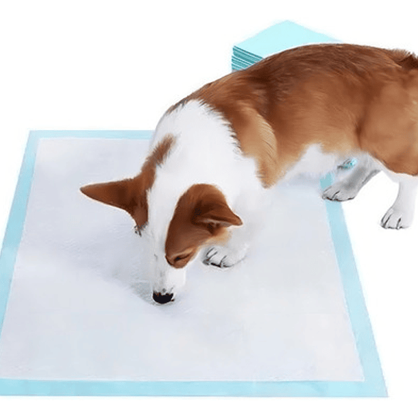 120 Pañales Tipo Sabanillas Mascotas Perro Gato 60x60 Cm 3