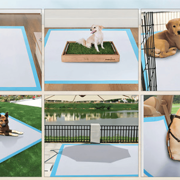 120 Pañales Tipo Sabanillas Mascotas Perro Gato 60x60 Cm 5