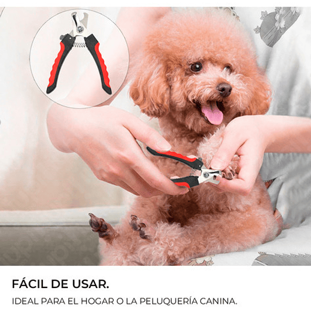 Set Alicate Corta Uñas Y Lima Para Perros Medianos 2