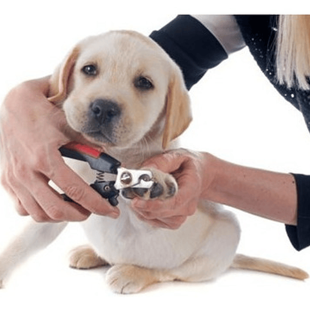 Set Alicate Corta Uñas Y Lima Para Perros Medianos 5