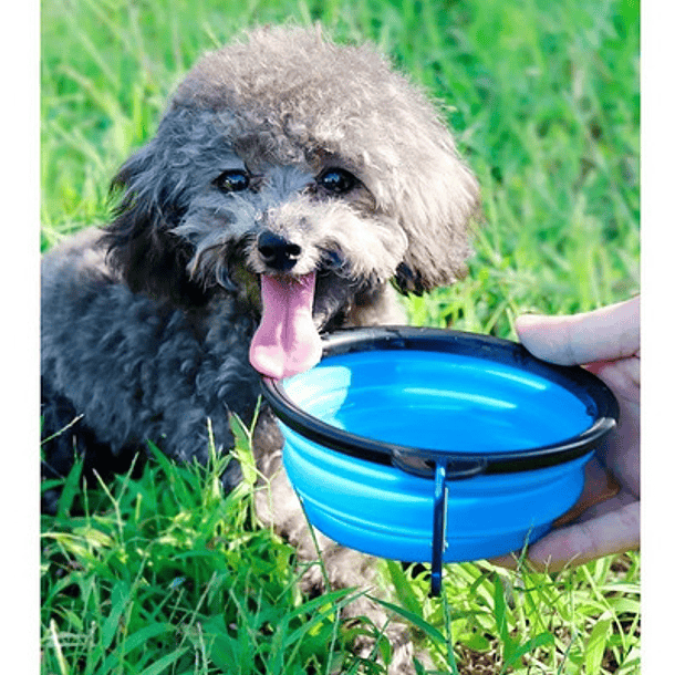 Plato De Goma Plegable Portátil Mascotas Perro Y Gato Silico Color Azul 2
