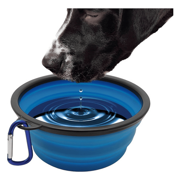 Plato De Goma Plegable Portátil Mascotas Perro Y Gato Silico Color Azul 9