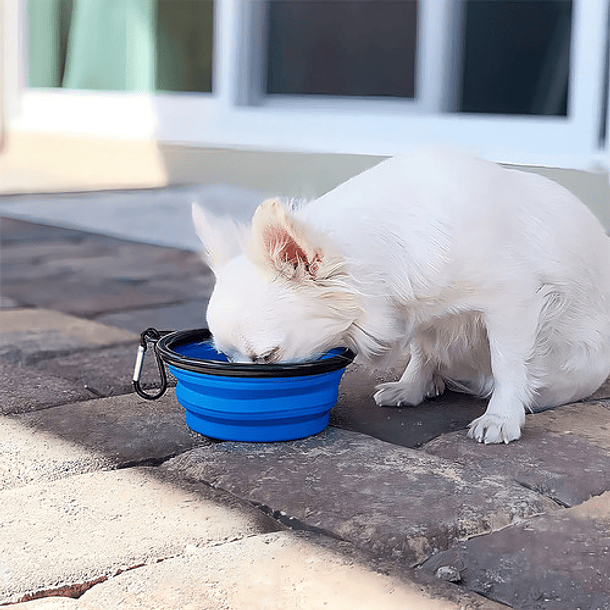 Plato De Goma Plegable Portatil Plato Mascotas Portatil 833 Color Azul 11