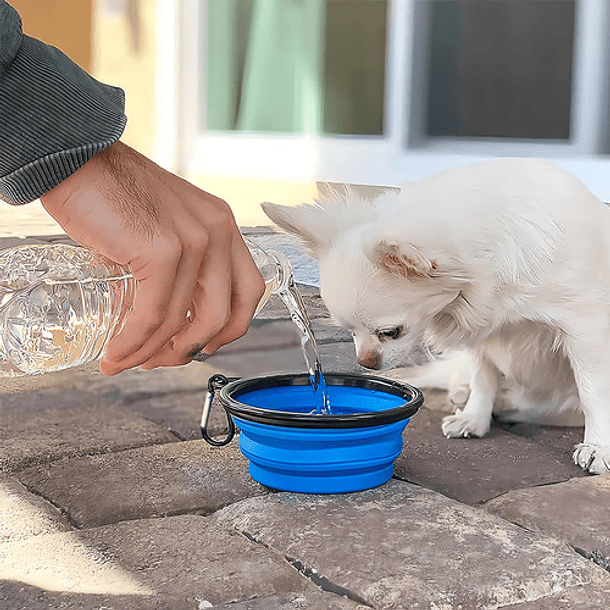 Plato De Goma Plegable Portatil Plato Mascotas Portatil 833 Color Azul 12