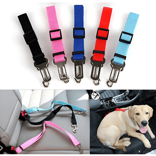 Correa Perros Auto Cinturon Seguridad Correas Cinturon Gatos Color Celeste 7