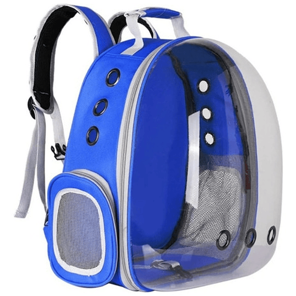 Mochila Bolso Transporte Transparente Mascotas Perros Gatos Color Azul 1