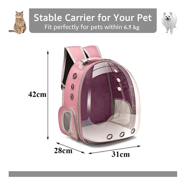 Mochila Bolso Transporte Transparente Mascotas Perros Gatos Color Azul 2