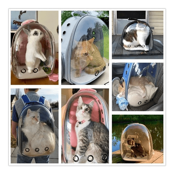 Mochila Bolso Transporte Transparente Mascotas Perros Gatos Color Azul 4