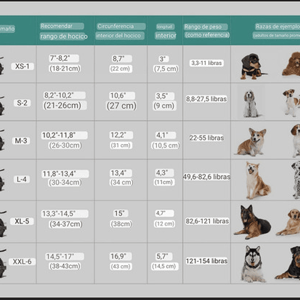 Bozal Para Perros Grandes Bosal Para Perro Mediano Roro Mascotas Talla Xl 2