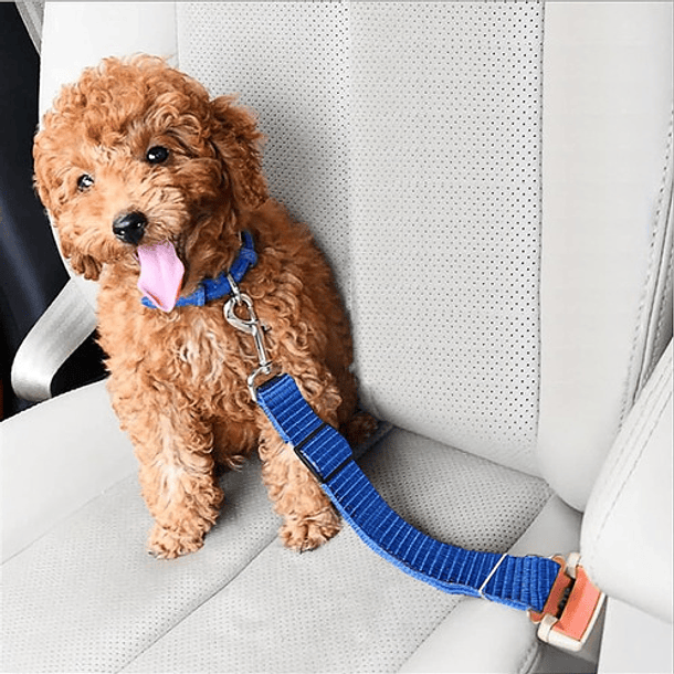 Cinturon Seguridad Mascota Perro Auto Ajustable Correa Arnes Azul 4