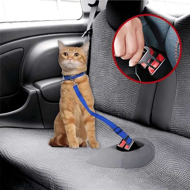 Cinturon Seguridad Mascota Perro Auto Ajustable Correa Arnes Azul 7