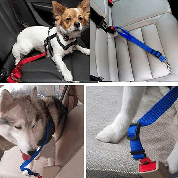 Cinturon Seguridad Mascota Perro Auto Ajustable Correa Arnes Azul 9