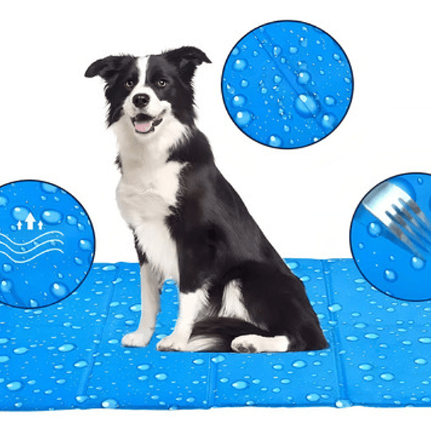 Manta Refrescante Para Perros 90x50 Cm Roro Talla 2