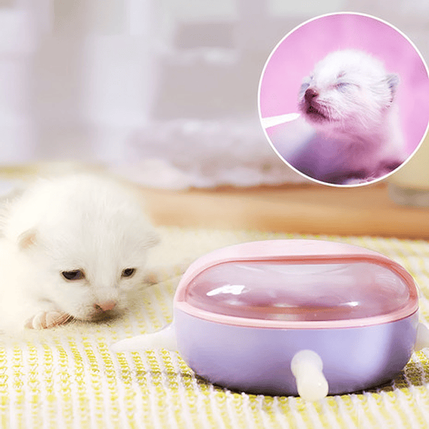 Plato Mamadera Pará Cachorros Perros Gatos Mascotas Color Rosa 8