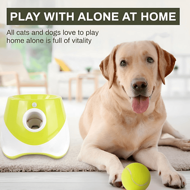 Lanzador De Pelotas Automatico Roro Juguete Interactivo Perros Lanza Pelota 9