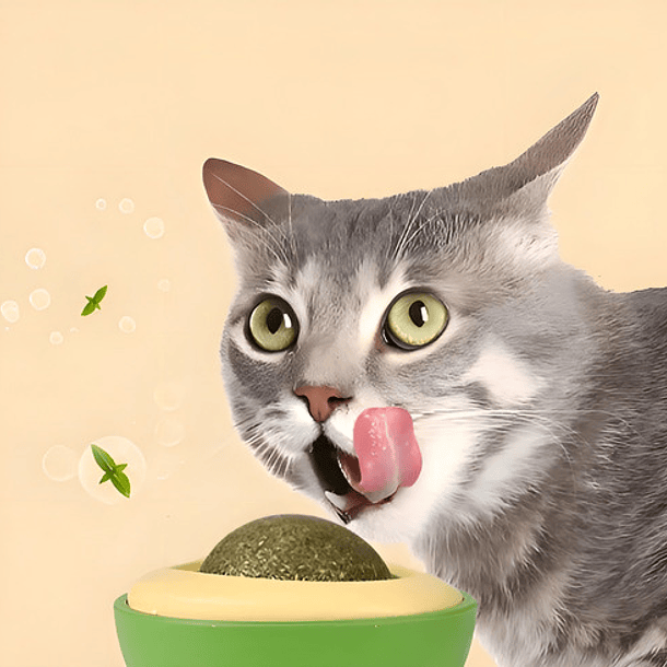 Juguete Interactivo De Aguacate Con Hierba Gatera Para Gatos, Color Verde 11