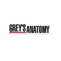 GU45NV - Grey's Anatomy