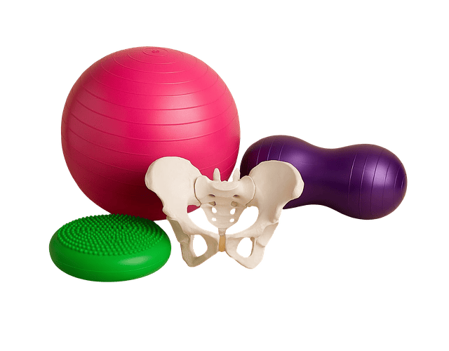 Kit Pelvis en Movimiento 