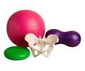 Kit Pelvis Movimiento Trabajo Parto Obstetricia