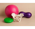 Kit Pelvis Movimiento Trabajo Parto Obstetricia